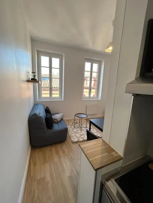 Apartment Le Studio Cygne Blanc Hypercentre Rue Riquet Toulouse
