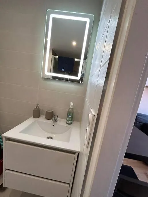 Le Studio Cygne Blanc Hypercentre Rue Riquet Toulouse 0*,
