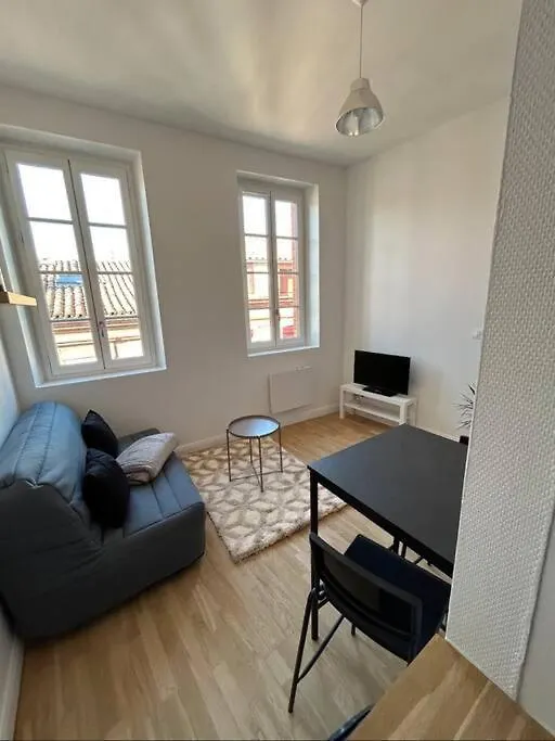 Apartment Le Studio Cygne Blanc Hypercentre Rue Riquet Toulouse
