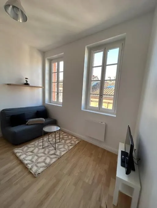 Le Studio Cygne Blanc Hypercentre Rue Riquet Toulouse Apartment